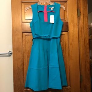 Banana Republic Blue Fit and Flare Dress